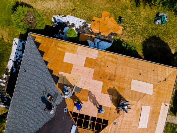 Best Roof Repair Services  in Kingsville, TX